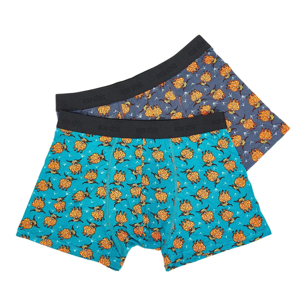 Eco chic mens bamboo boxers, Highland Cows duo set, XLarge ...