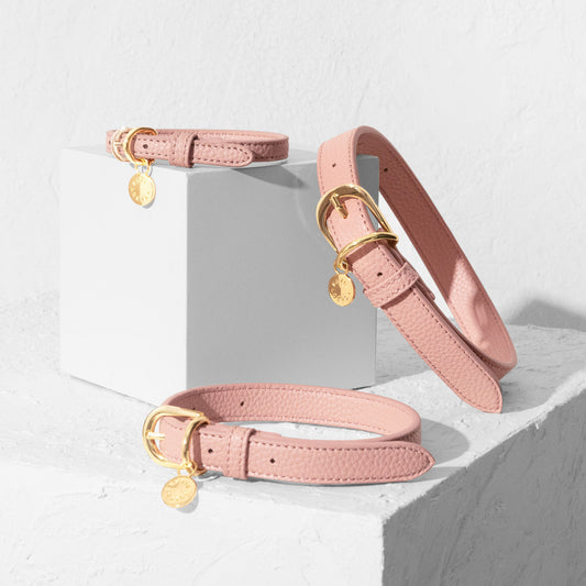 Katie Loxton Dog Collar Pink M/L